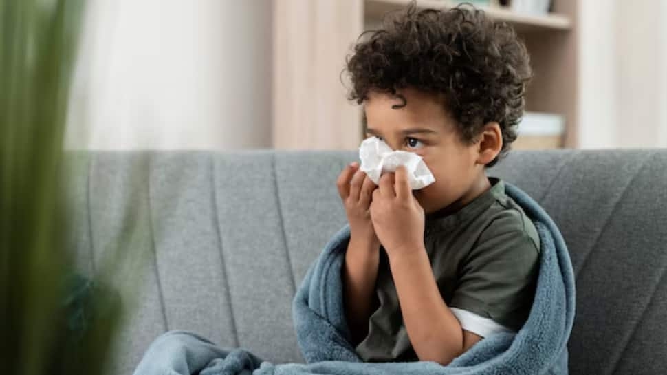 Monsoon 2025: 5 Effective Tips To Prevent Eye Infections And Improve Your Overall Health