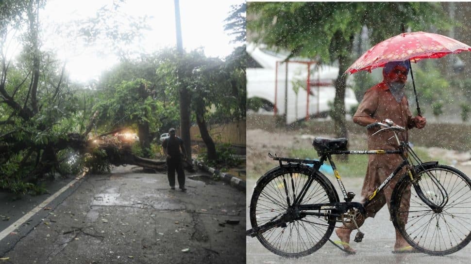 Weather Update: IMD Flags Heavy Rains For Hills, Sizzling Heat For Tamil Nadu
