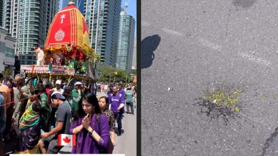Egg Thrown at Rath Yatra in Toronto Sparks Outrage; India Calls It 'Regrettable'