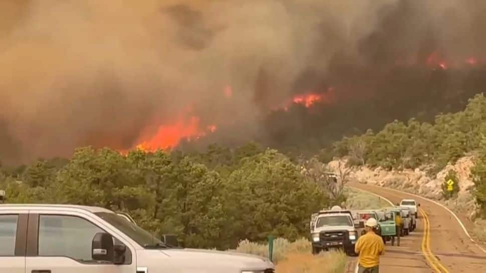 US: Wildfire Ravages Grand Canyon's Historic North Rim Lodge – What We Know So Far