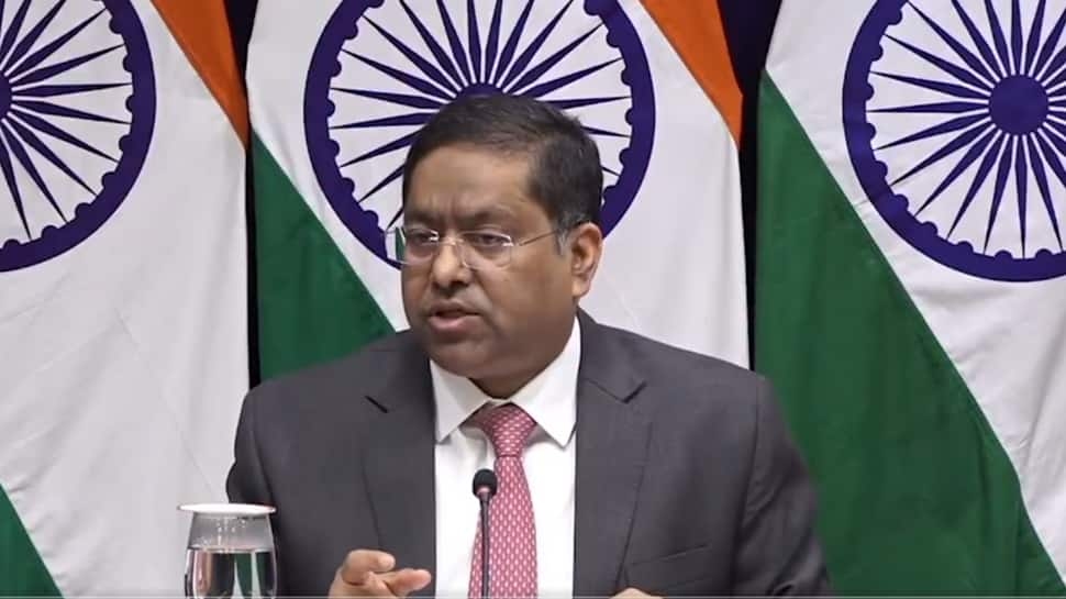 No Double Standards On Energy Trade: India On Latest EU Sanctions Package Against Russia