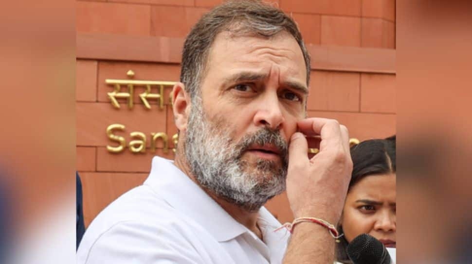 When It Matters...: Rahul Gandhi Under Fire From BJP Over Skipping 80% Of Defence Panel Meets