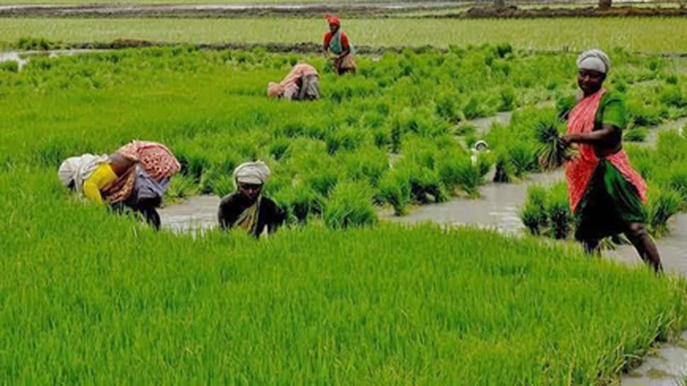 India-UK Trade Deal Brings New Hope, Boosts Crop Exports And Income: Farmers