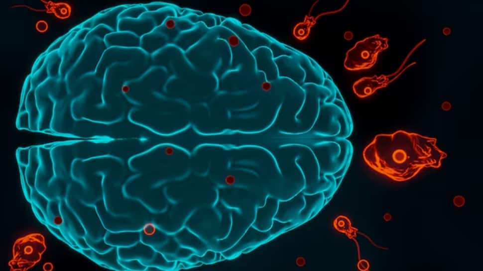 Child Dies After Brain-Eating Amoeba Attack - Know Early Signs Before It's Too Late