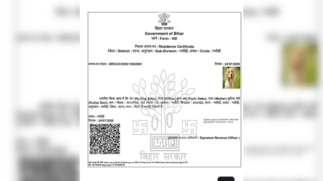 Bihar Does It Again, Issues Domicile Certificate To ‘Dog Babu', Son Of ‘Kutta Babu And Kutiya Devi'
