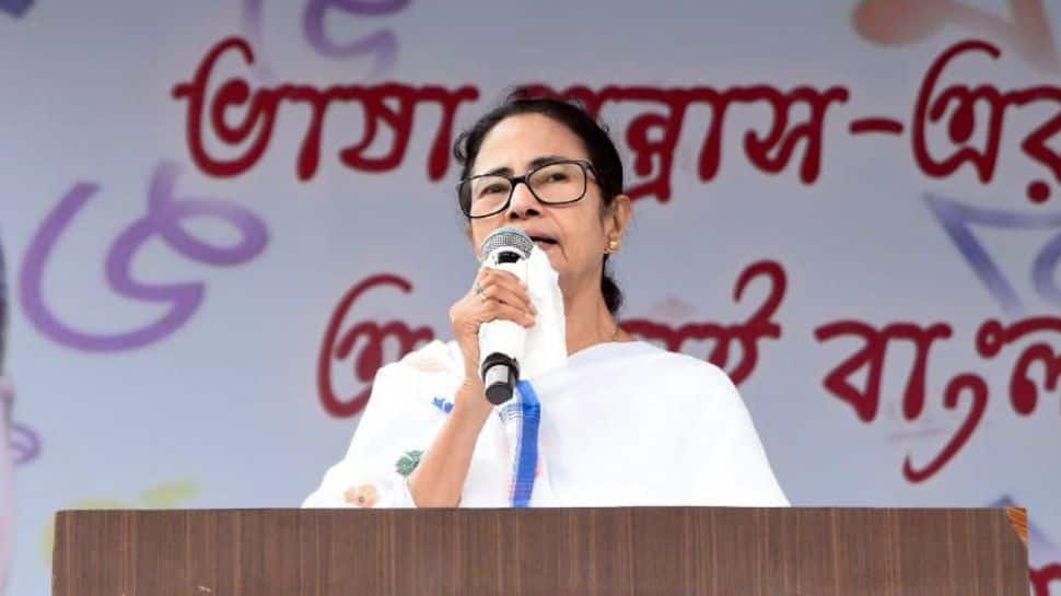Why SIR Has Sparked Backdoor NRC Fear Within Trinamool Congress?