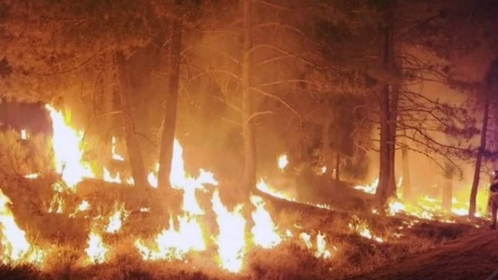 California Canyon Fire Triggers Evacuation Order, Red Cross Extends Helping Hand