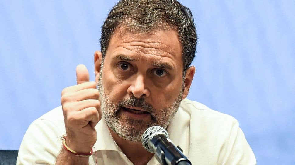 Karnataka Chief Poll Officer Seeks Proof From Rahul Gandhi Over Double-Voting Claim, Says Provide Relevant Documents