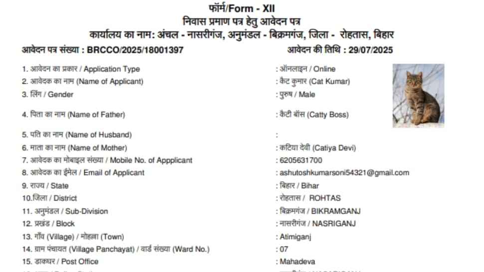 Cat Kumar Joins Dog Babu In Getting Residential Certificate In Bihar; Document Goes Viral