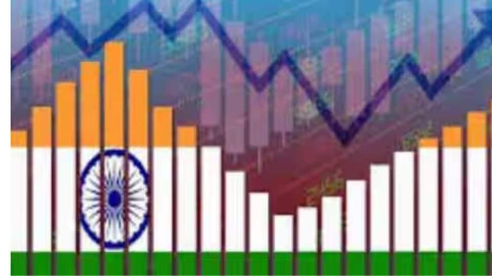 Indias Economy Continues On Fast-Growth Track: CEA Nageswaran