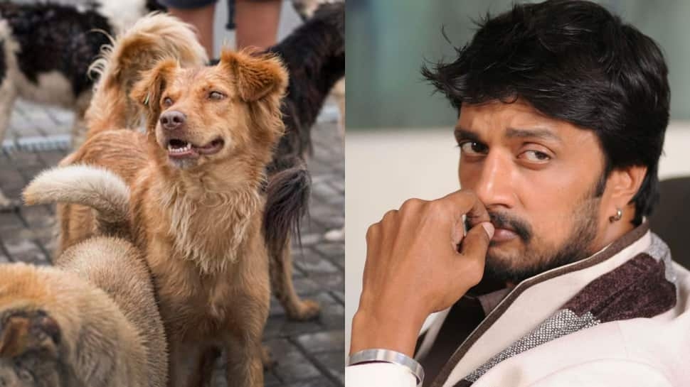 Kichcha Sudeepa Voices Concern Over Supreme Court's Stray Dog Removal Order In Delhi-NCR, Calls For Adoption And Care