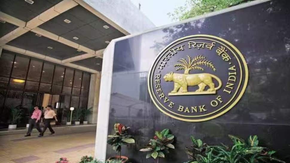RBI's Revised Co-lending Guidelines Will Boost Transparency: Report
