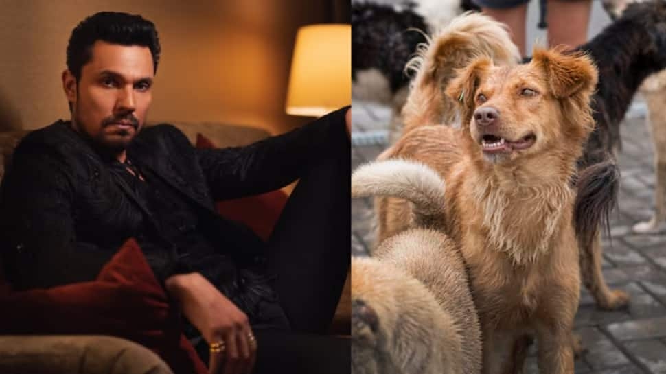 Randeep Hooda Welcomes SC's Decision To Revisit Stray Dog Verdict, Urges Humane And Practical Solutions