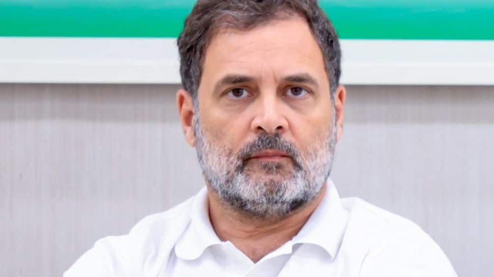 Rahul Gandhi Thanks EC For Getting Chance To Have Tea With Dead People