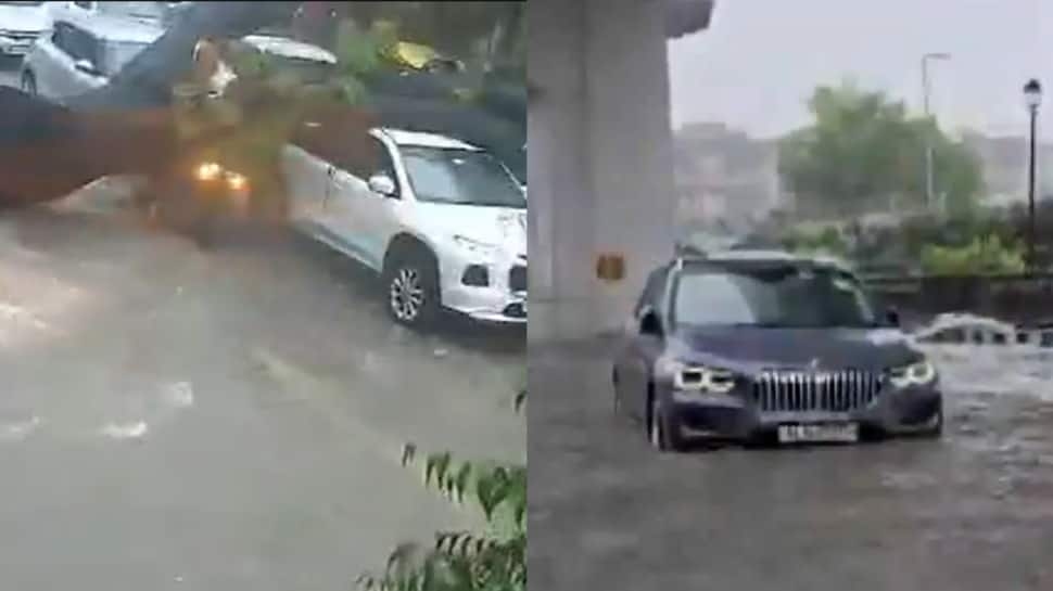 Delhi-NCR Rains: Uprooted Tree Falls On Girl In Kalkaji; BMW Stuck In APS Colony