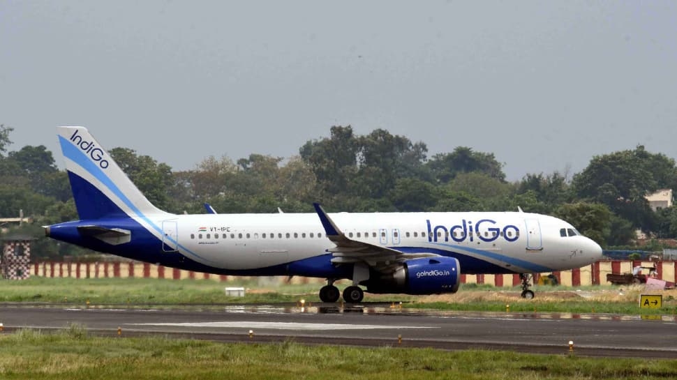 IndiGo Ready To Resume India-China Flights Once Bilateral Arrangements Allow