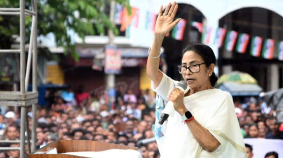 Mamata Banerjee Repeats Allegations Of Harassment Against Bengali Speakers
