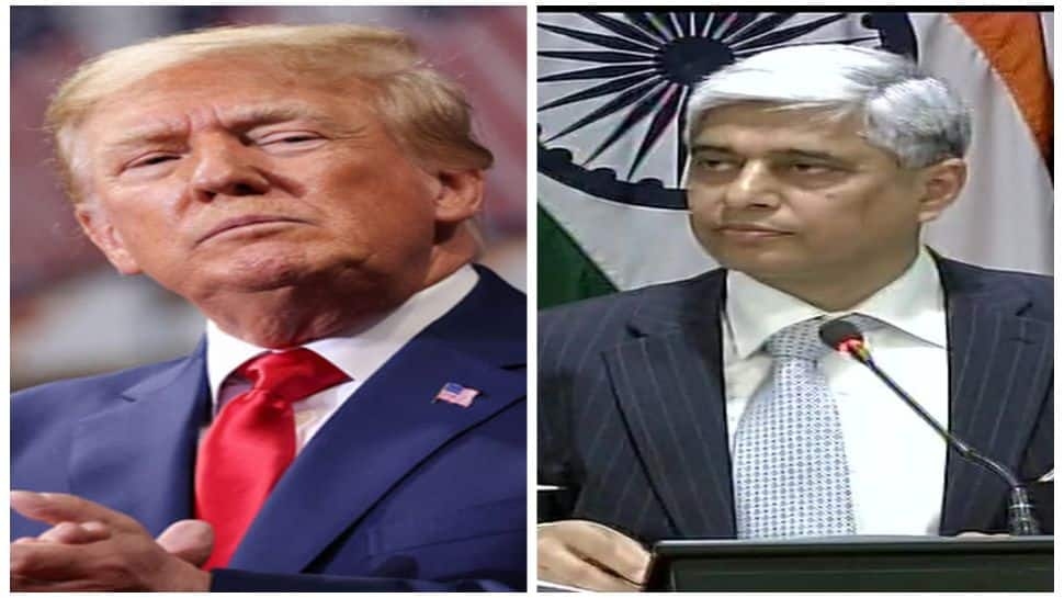 Tariffs, Tantrums And Ego: Ex-Diplomat Explains Why Trump Is Fuming At India