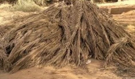 عقوبات مغلظة على حرق مخلفات النخيل.. وتوريد 500 ألف طن قمح إلى الصوامع - بوابة إقتصاد اليوم ::: بوابة المال والحياة