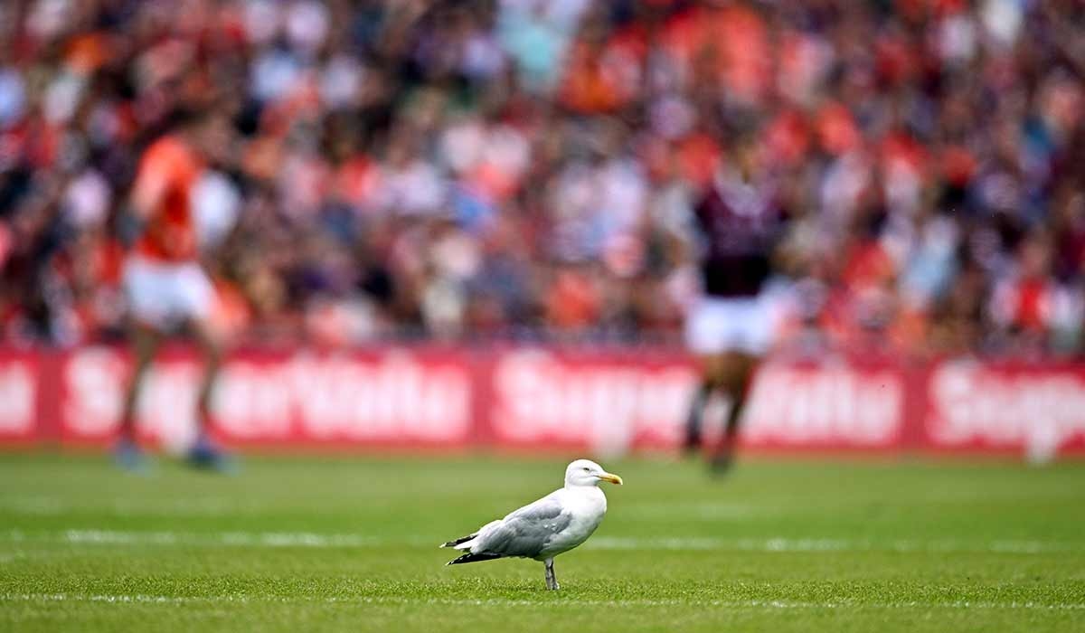 Irish sport must front up to vicious culture wars
