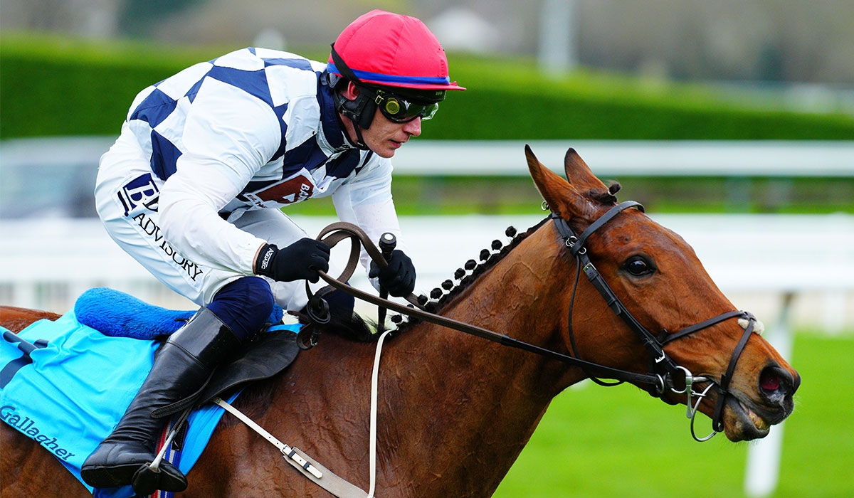 Jane Mangan: Back Ballyburn to bounce back at Punchestown