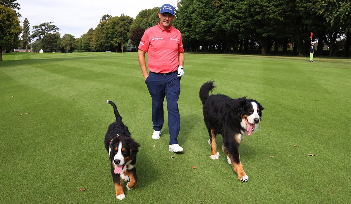 Padraig Harrington announces tragic passing of beloved family dog