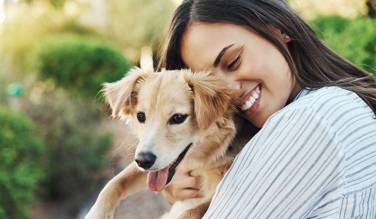 Dogs 'entering new phase of domestication'