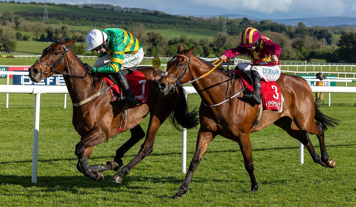 Spillane's Tower can rise above small but quality Punchestown field