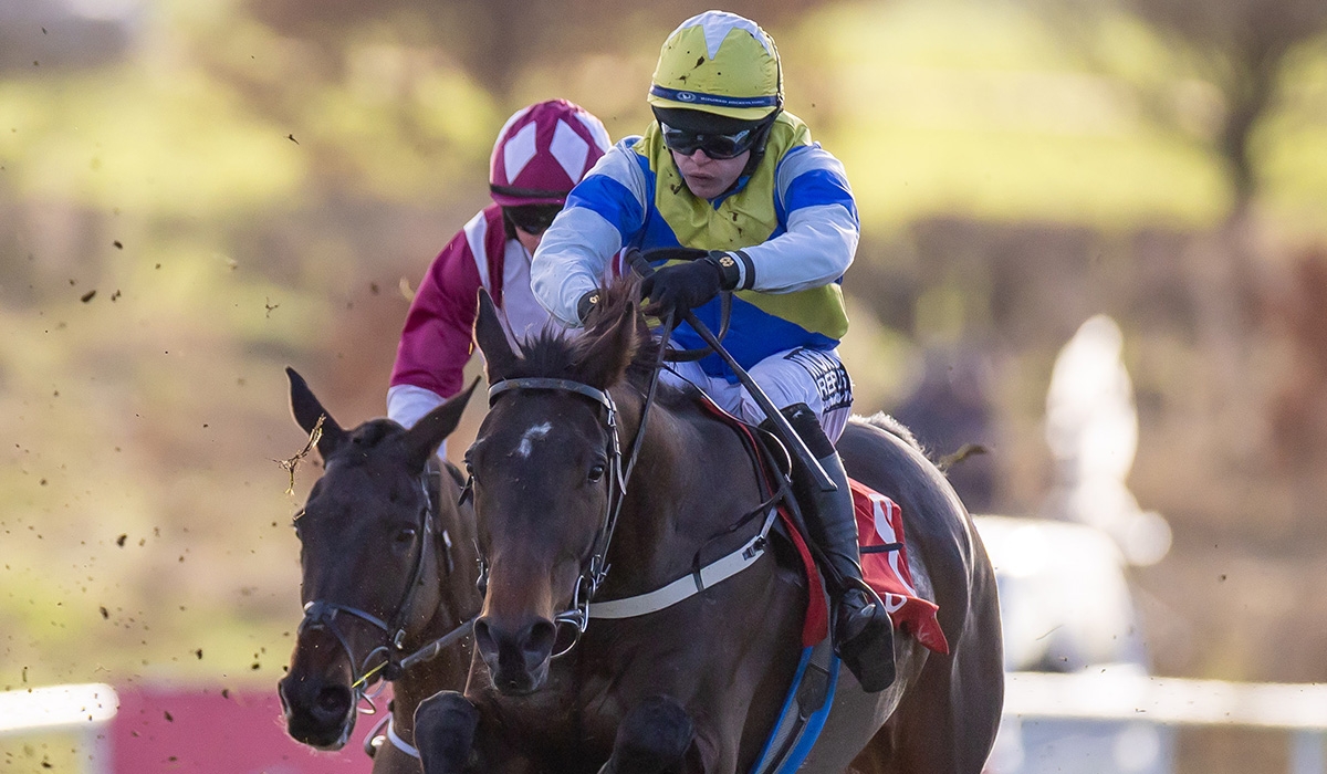 This Diamond in the rough is ready to sparkle at Punchestown