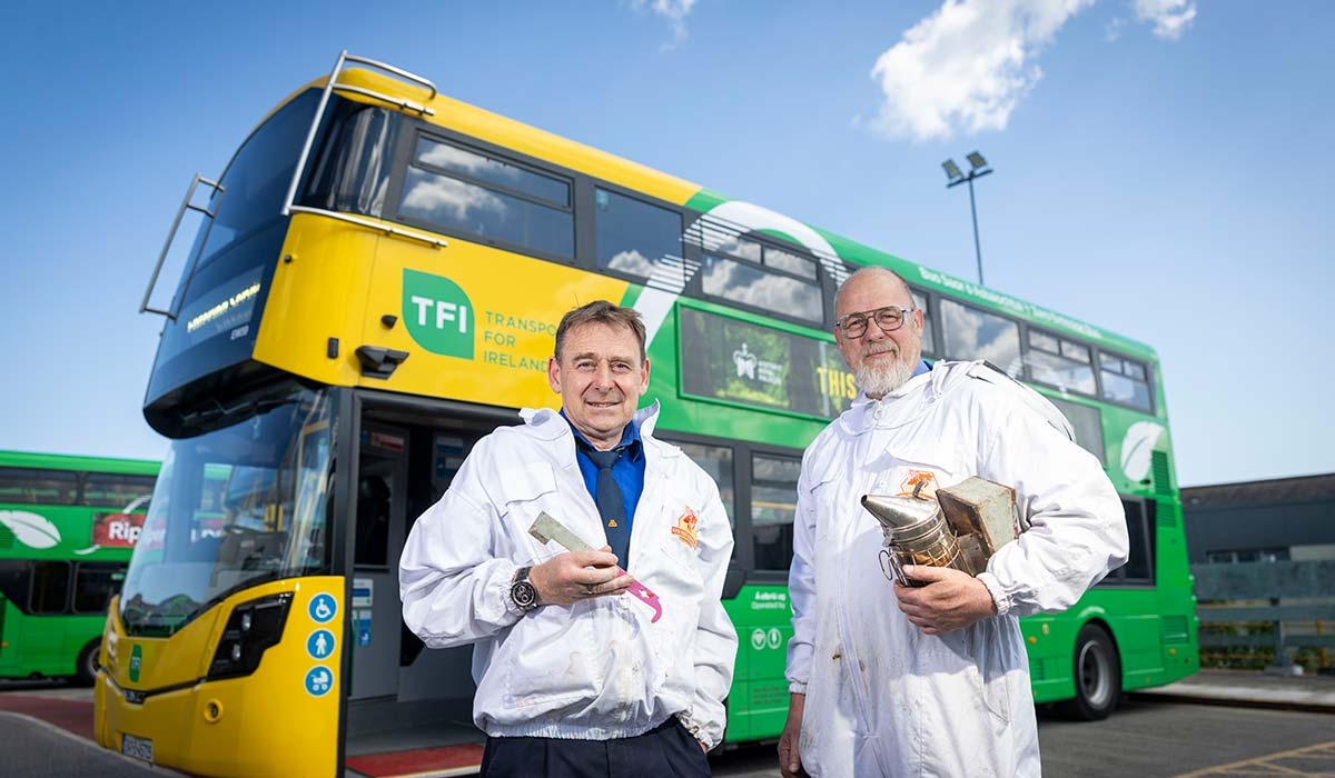 A bee-line into town! Dublin Bus is a hive of activity…