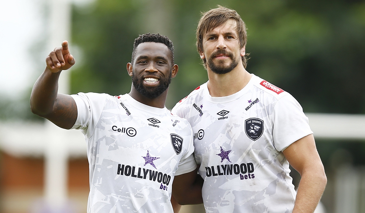 Munster face seismic task as Sharks find their bite