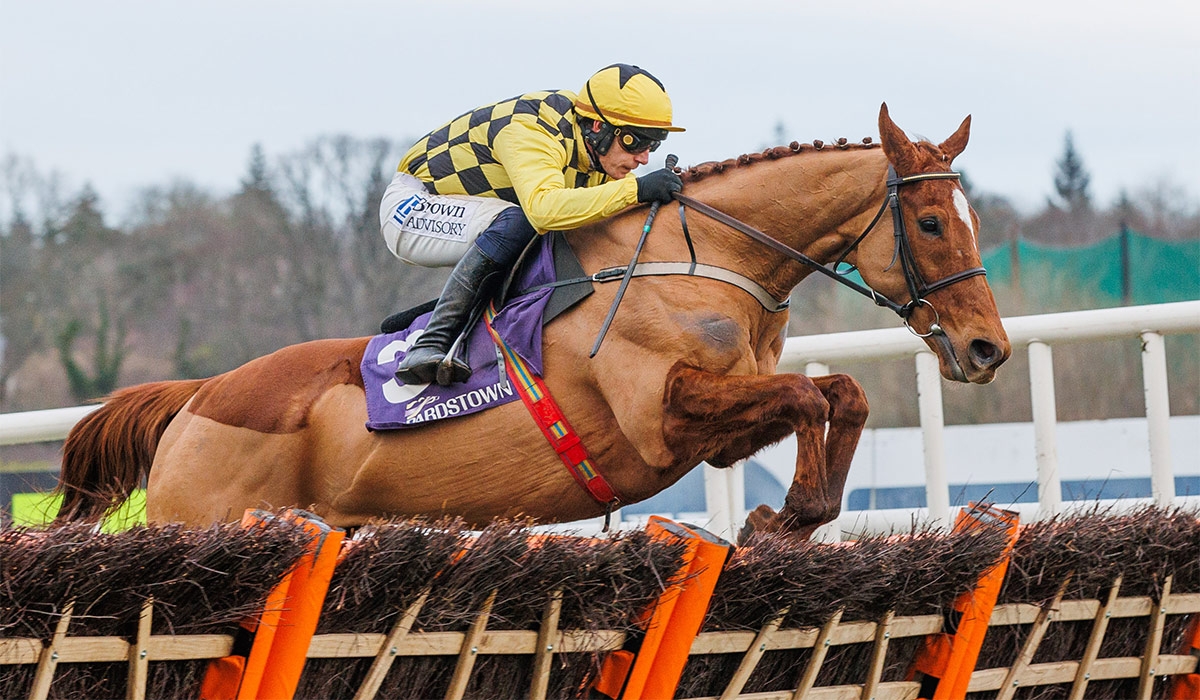 Punchestown: No stopping State Man on home ground
