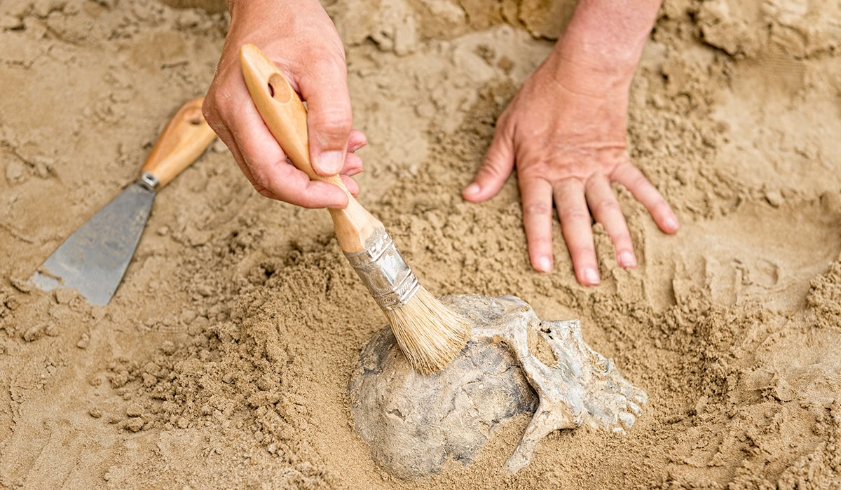 140,000 year old bones found under ocean hint at lost world