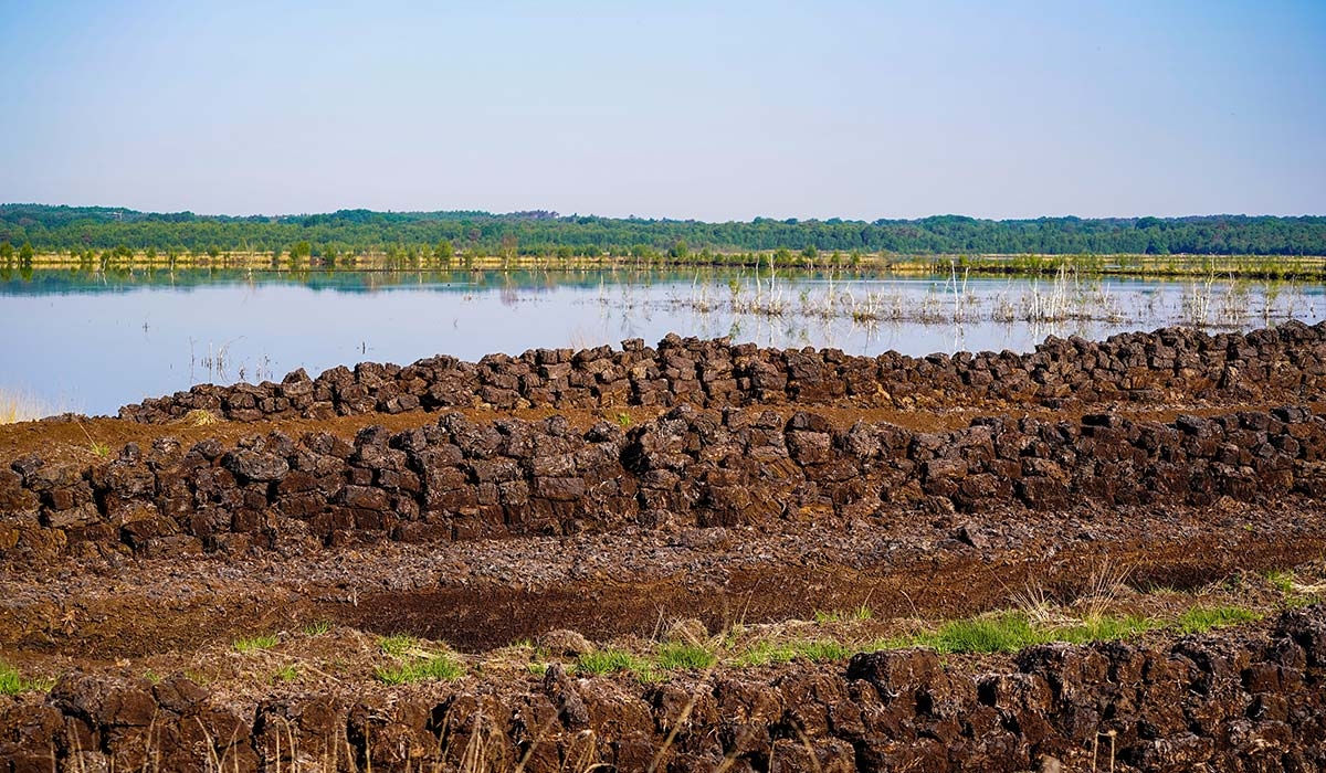 Why warmer summers will be great... for peat's sake