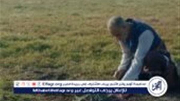 محمود البزاوي يشعل السوشيال ميديا بعد مشهد المومياء في مسلسل "مملكة الحرير"