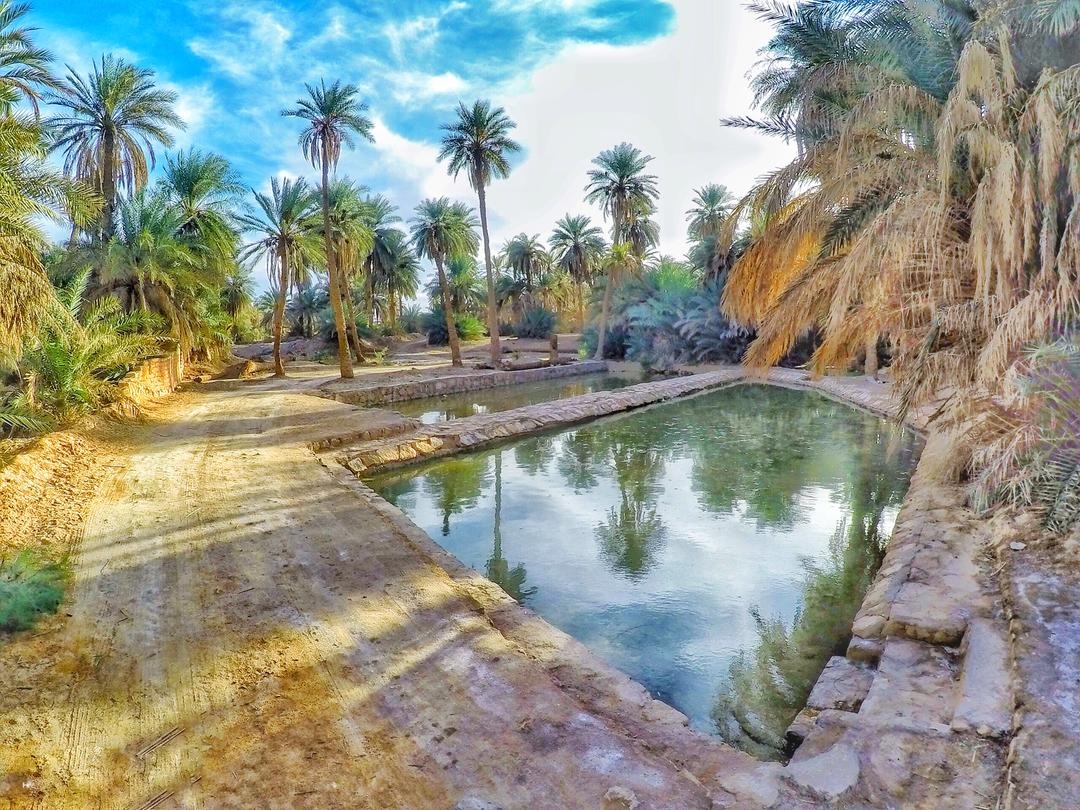 أمتى تهتموا بيها !؟