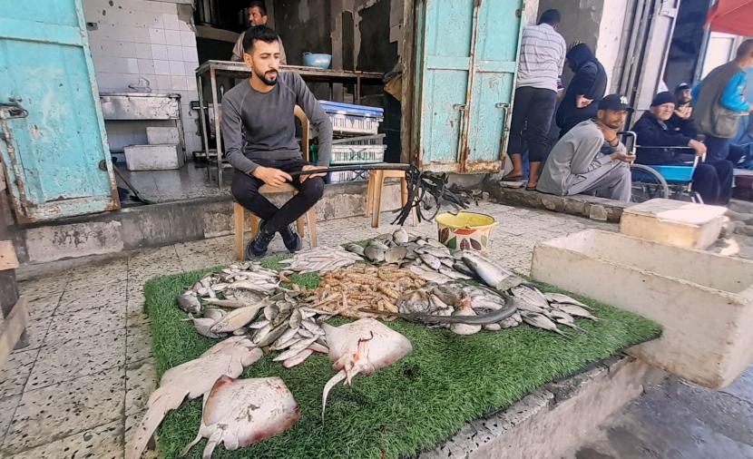 تقرير كيف أصبحت وجبة السمك في غزة حلمًا بعيد المنال؟