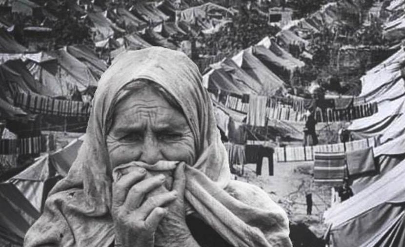 فلسطين بين نكبتين