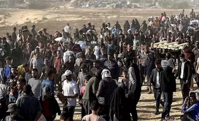 الأورومتوسطي: فيديو الاحتلال حول مجزرة المُجوَّعين في رفح ارتدَّ عليه وتحوَّل إلى فضيحة