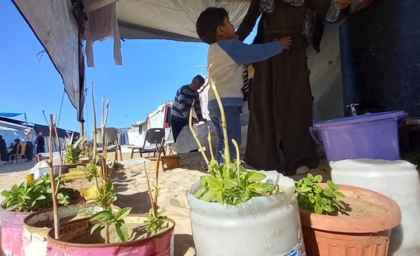 تقرير "غذاؤنا من أيدينا".. مبادرة تعيد الزِّراعة إلى منازل الغزيين وتقاوم الجوع بالكرامة