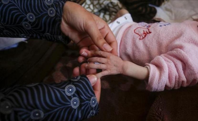 حماس تُرحّب بقرار مجموعة لاهاي وتدعو لعزل الاحتلال دوليًّا