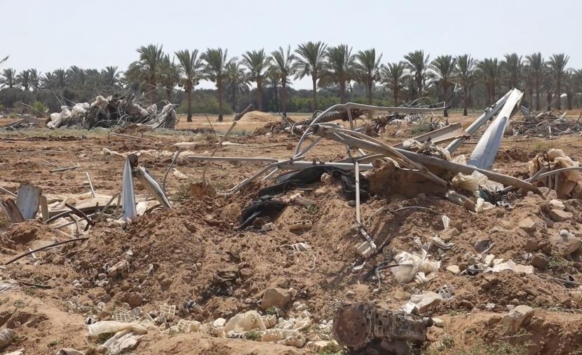 77% من أراضي غزة خارج الخدمة.. الأمن الغذائي في خطر