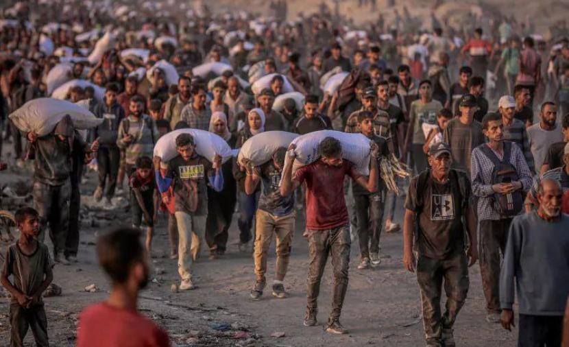 كم كمية المساعدات التي وصلت غزة؟ ومن يستفيد منها؟