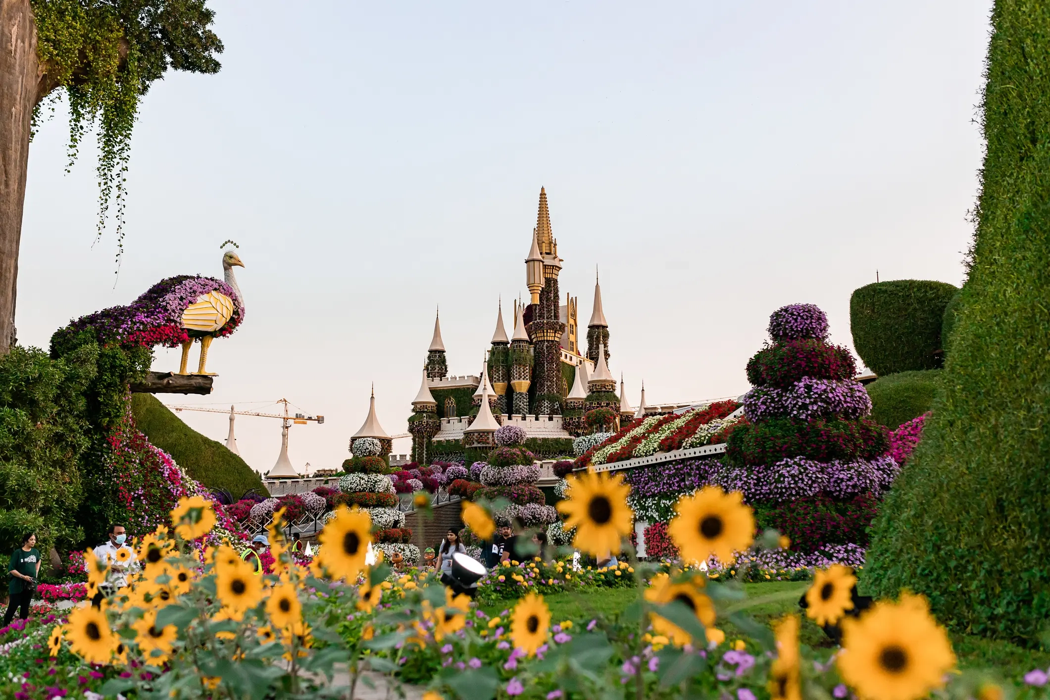 Dubai Miracle Garden to close for summer on May 31