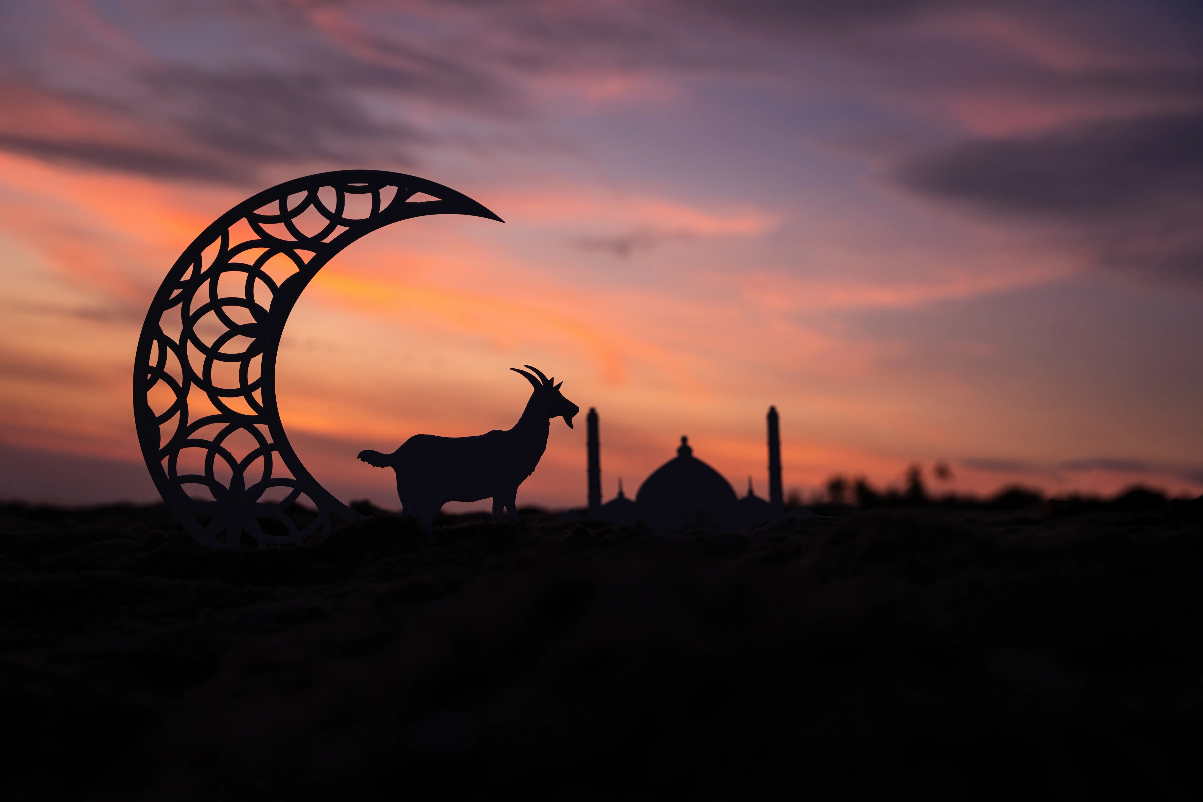 Eid al-Adha likely to be on June 6 for most Islamic countries