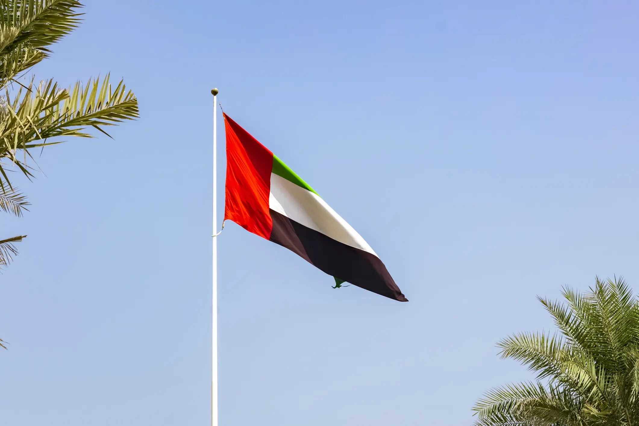 Ras Al Khaimah releases 411 prisoners ahead of Eid Al Adha