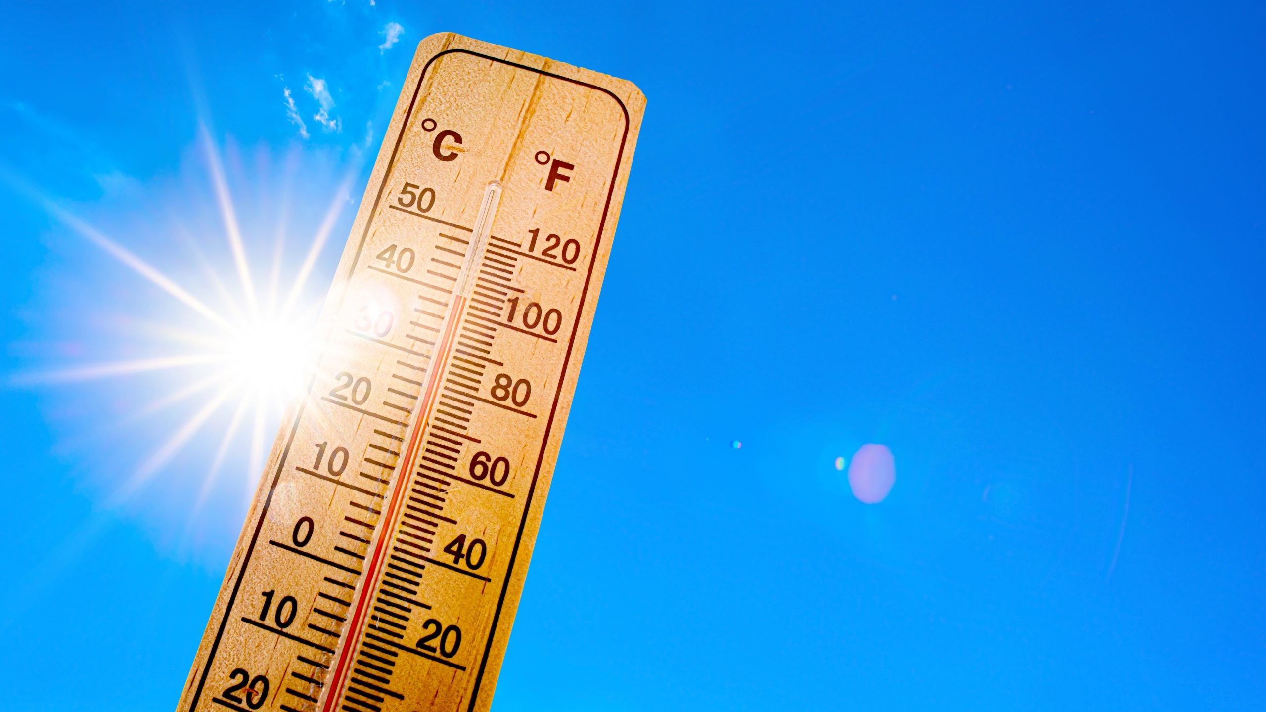 UAE Enters Peak Summer Heat Phase with the Rise of Al Mirzam Star