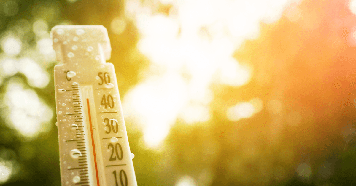 WHO warns extended heatwaves pose growing health threat