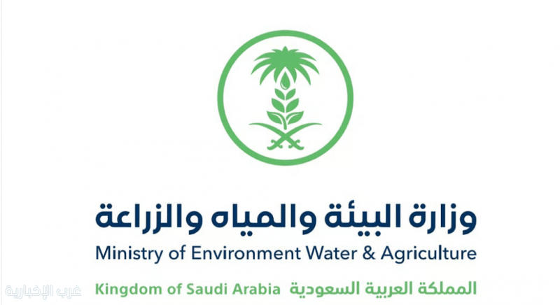 ضمن استعداداتها للحج.. «البيئة» تفسح أكثر من 351 ألف رأس ماشية لضمان وفرة الإمدادات