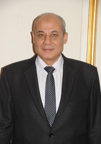 المصريون بالخارج والمشاركة في حلم الوطن